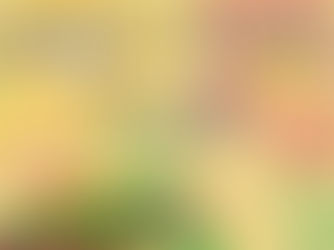 Celebrating Hispanic Heritage Year Round