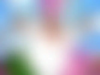 Lois Can Finally Understand Stewie in Family Guy Season 24 — See the Comic-Con Trailer