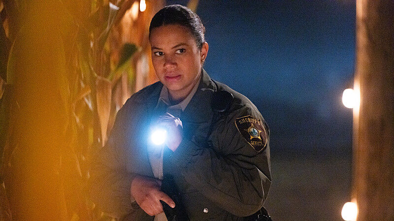 The TV Cave’s Performer of the Week: Michele Weaver Just Stole Sheriff Country