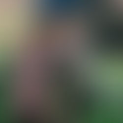 Netflix’s 'Little House on the Prairie Reboot' Casts Revealed: Meet the New Faces