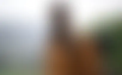 Hulu Renews ‘Paradise’ for Season 3 — And It Could Be the Final Chapter