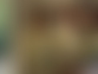 ‘The House of the Spirits’ Trailer Drops: Prime Video’s Ambitious Adaptation Looks Gorgeous, Moody… and Potentially Devastating