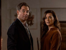 📺 What to Watch Tonight: Your Ultimate TV Guide for Thursday, September 25, 2025