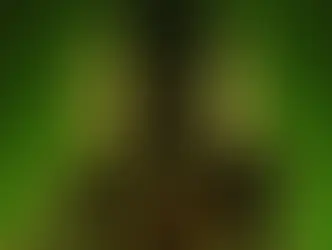 Monster Season 3 Release Date Revealed by Netflix and It’s as Twisted as You’d Expect