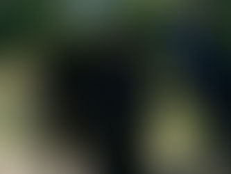 🛋️ What to Watch Tonight: July 27, 2025 — Bugs, BBQ, and Big Brother Battles!