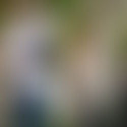 Grey’s Anatomy Season 22 Episode 4 “Goodbye Horses” Recap Apologies, Awkward Exes and Meredith Grey Leaves Again