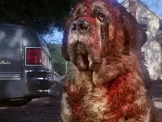 'Cujo' Remake Coming to Netflix