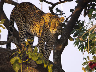 The TV Cave’s Daily TV Guide: What to Watch on February 14