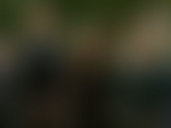 The Waterfront Review: Southern Family Drama Served With a Side of Smuggling