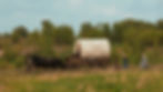Pioneers walking beside a covered wagon pulled by horses through a grassy field, surrounded by trees under a clear sky, evoking a historical journey.