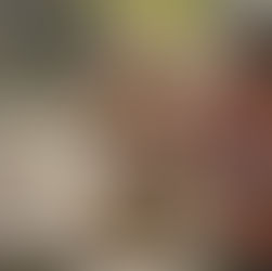 Netflix’s 'Nobody Wants This' Season 2 Proves Opposites Really Do Attract