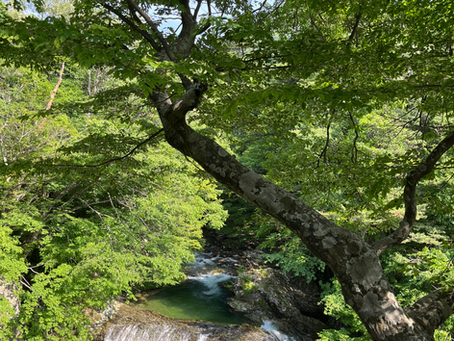 夏の頭皮ケア 男性編