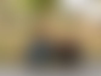 An unhappy couple sitting on a park bench looking unhappy