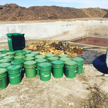 Multiple Viva La Compost buckets lined up at composting site