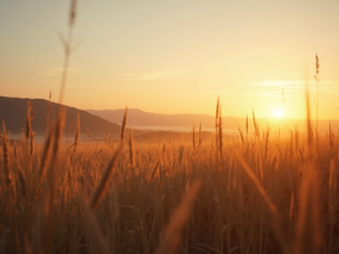 Connecting With Angels: Guidance for Everyday Living