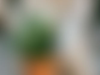 「與植物相遇吧」-療癒自己的心