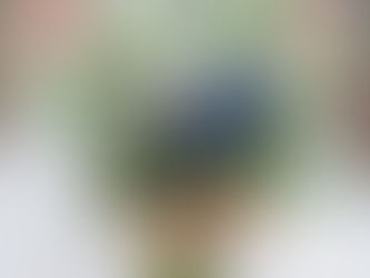 セレスの館での鑑定終了のお知らせ