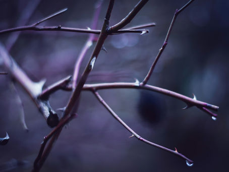 THE MINISTRY OF THE THORN – CANCER & GOD’S GRACE – 2 Corinthians 12:7-10