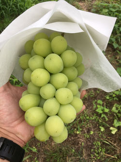 01fbcb75ea664566b4225ad3bd943f1c4bf27abcea