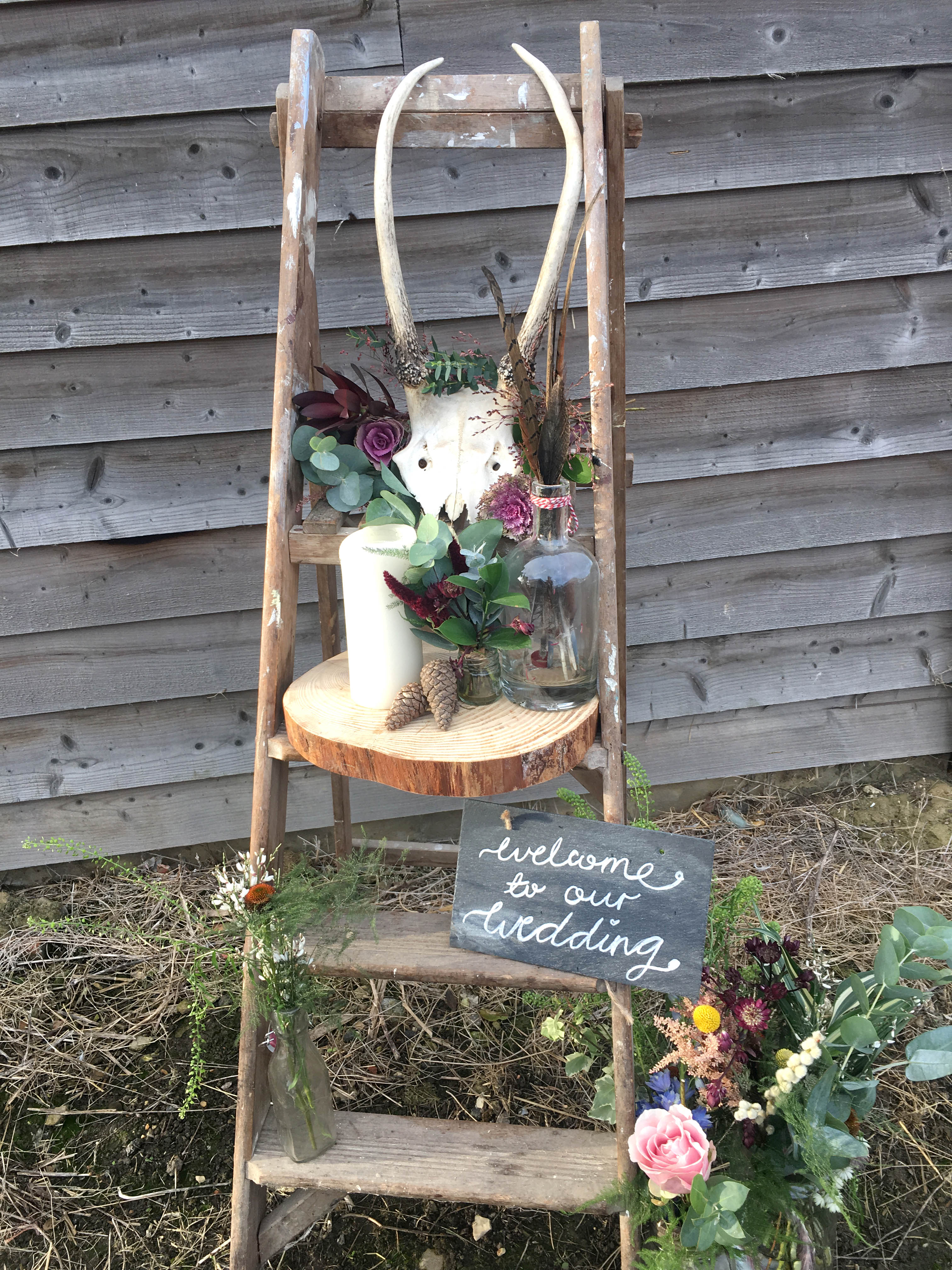 Rustic Ladders £15 Each