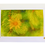 Thumbnail: Watercolor notecard featuring pine needles with a yellow flower.