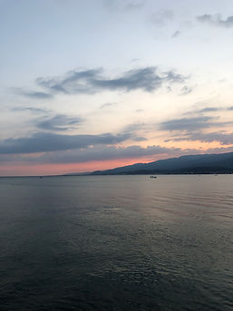 IMG_4556.jpg
