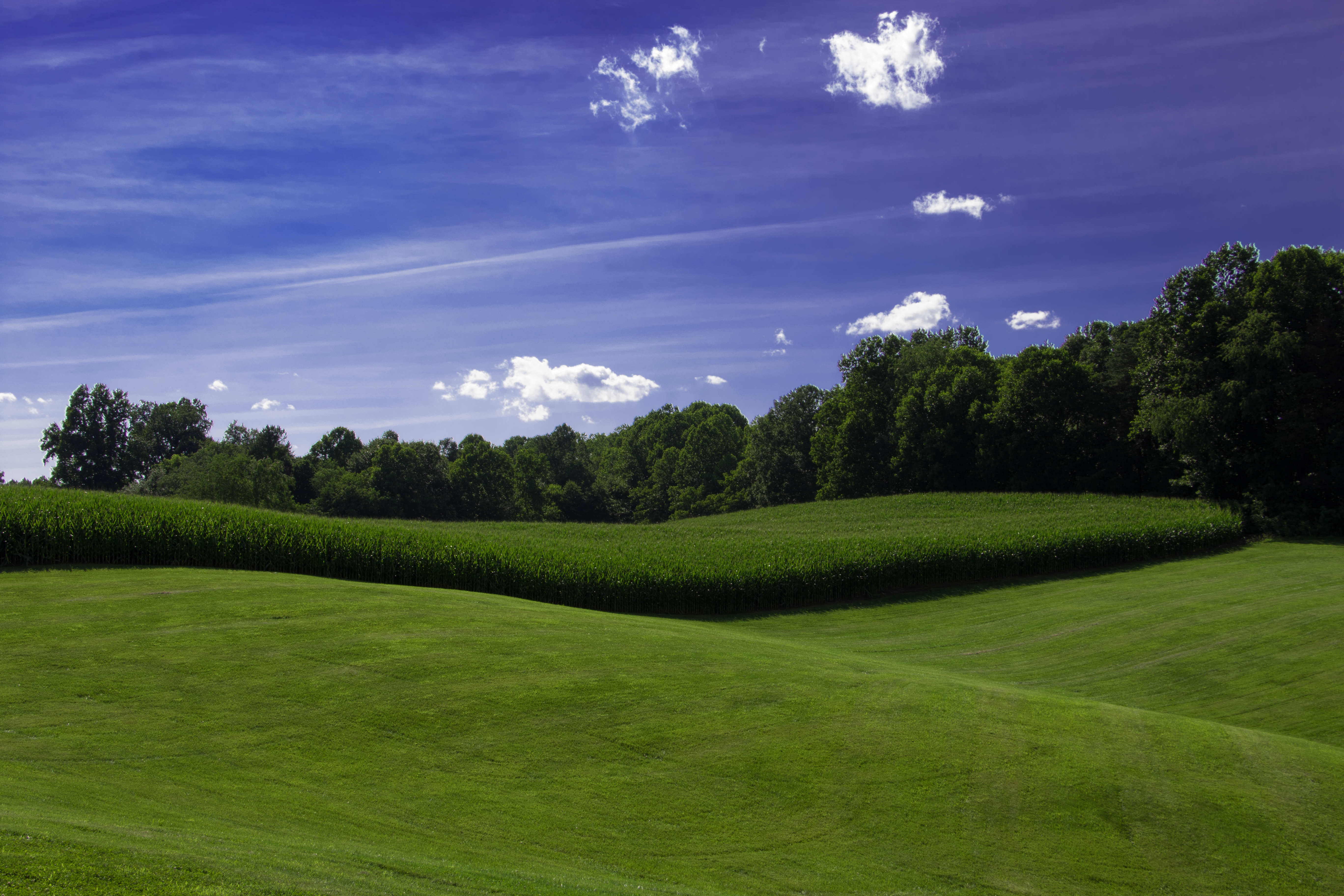Hilly pasture