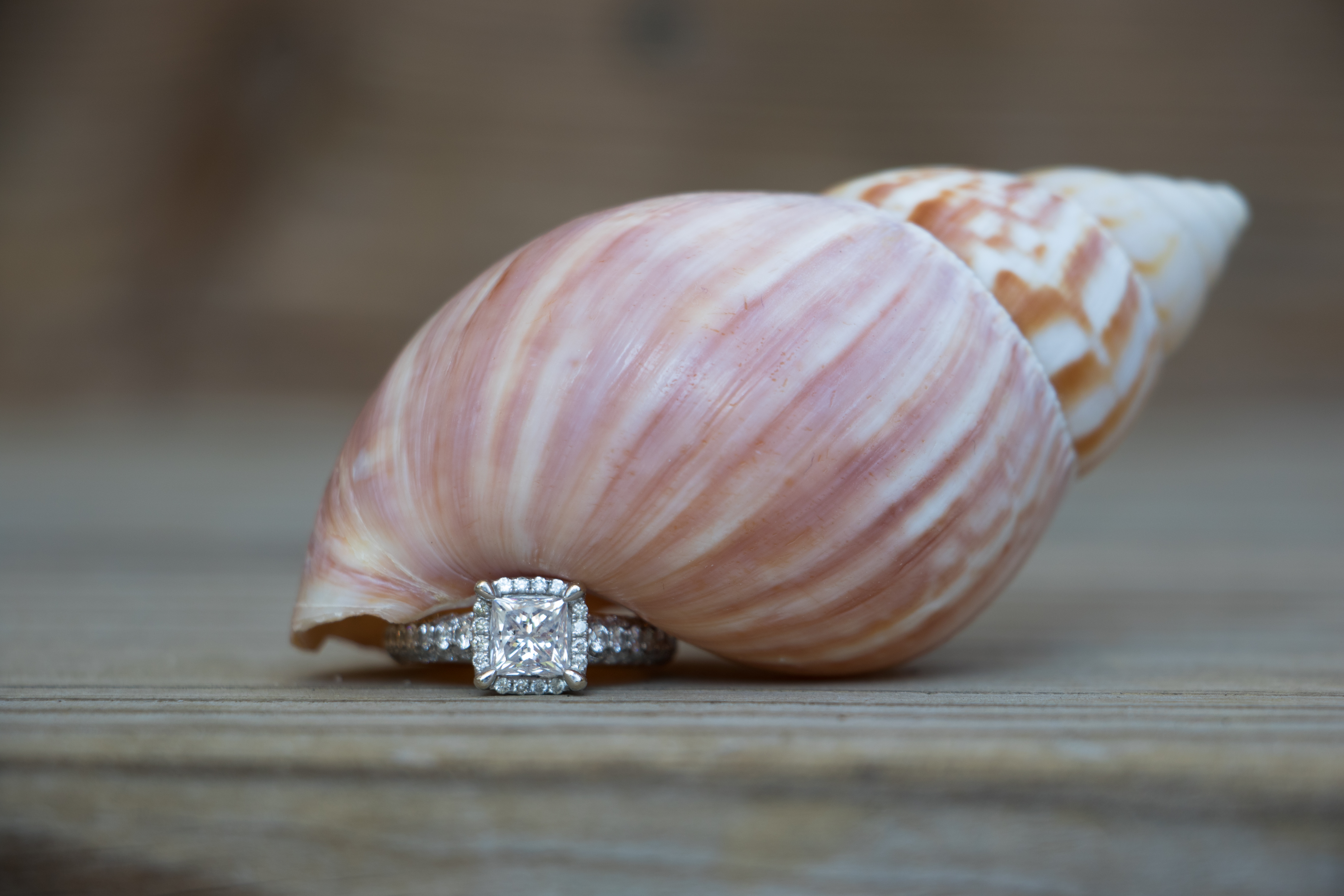 Shell Diamond