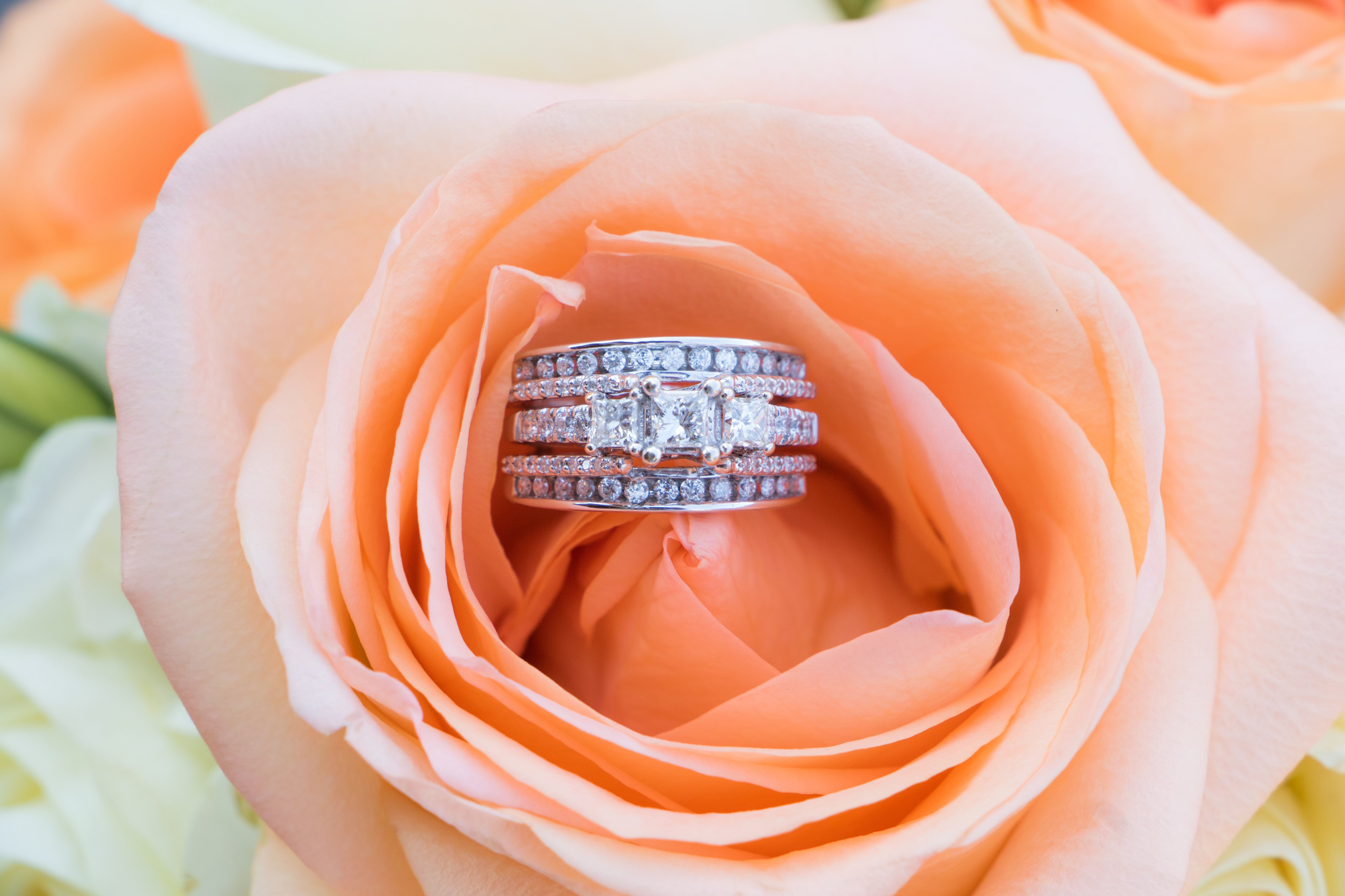 Diamond Rose