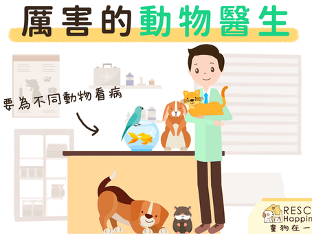 【認識動物醫生 Meet the Animal Doctor】