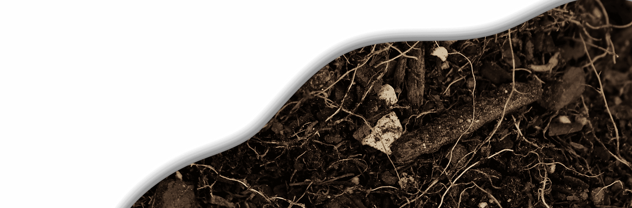 Green Modern Starting Soon Twitch Banner (3).png