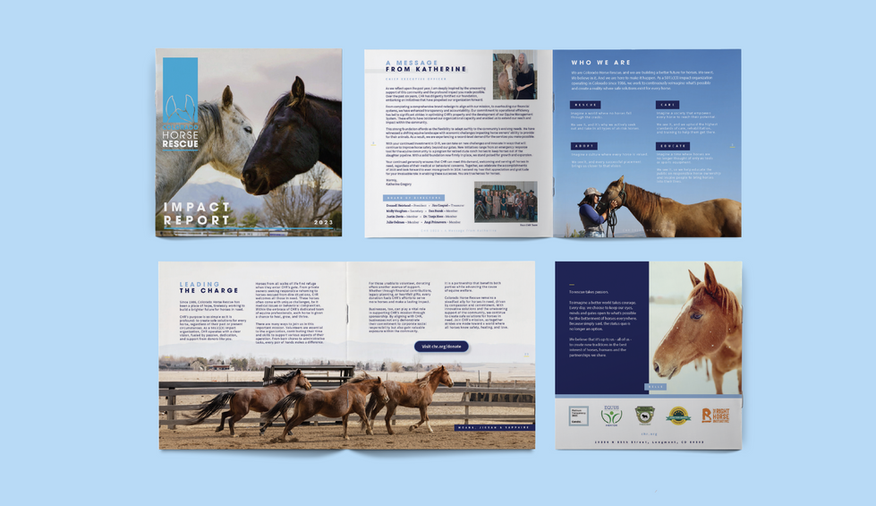 COLORADOHORSERESCUE_WIX_2025-06