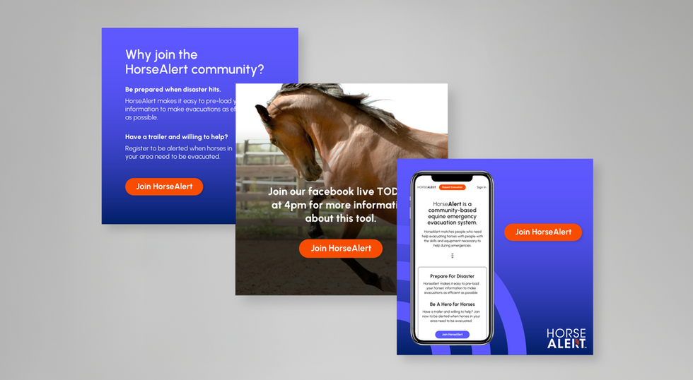 HorseAlert_WIX_2025-01