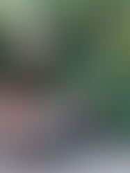 ROLLER COASTER READY