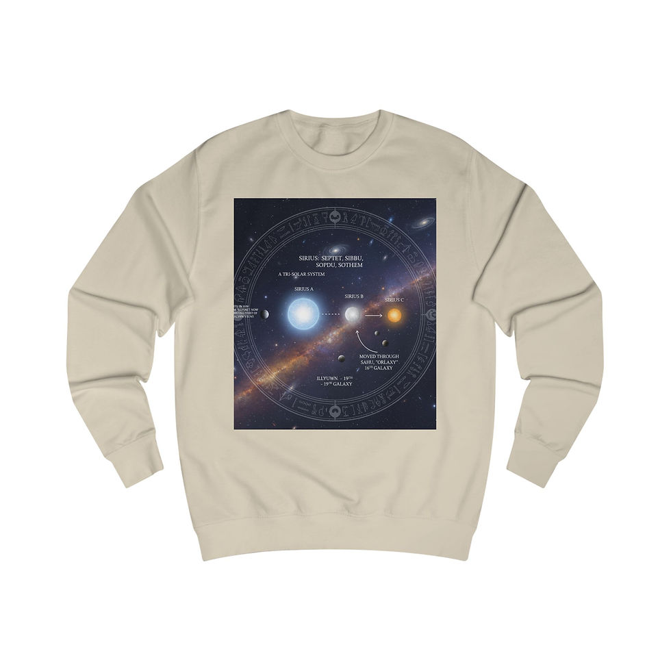Thumbnail: Solar System Diagram Sweatshirt — SunRaze Astronomical Graphic Crewneck