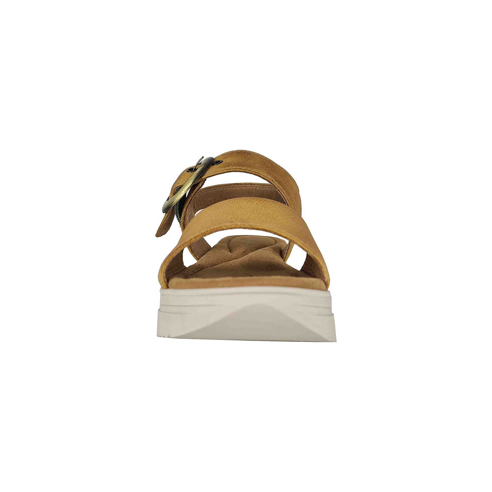 Thumbnail: ARLO