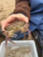 2f2d165d-85be-4ef6-acd2-5a65ac343767