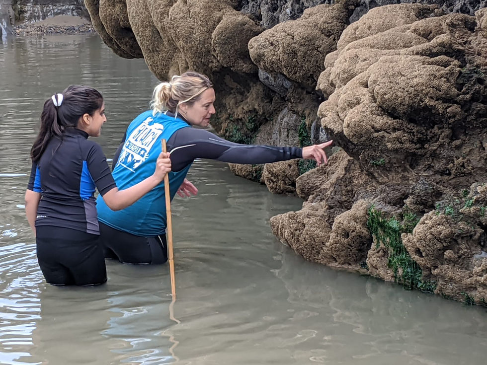 Reef Studies Rest Bay