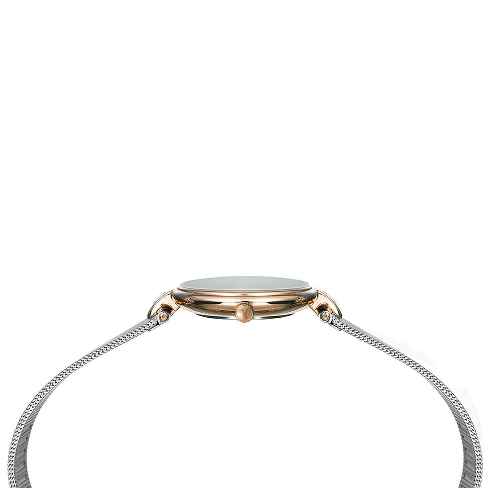 縮圖：1°CLASSE Alviero Martini Paros 4957L/02m