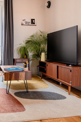 Meudon salon détail mobilier