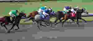 20.03.07 Knight at the Races