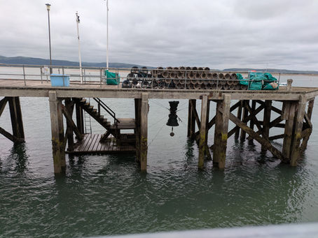 Birds, Bells and Legends: A Morning in Aberdyfi