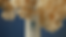2021-03-13_00-20-11.png
