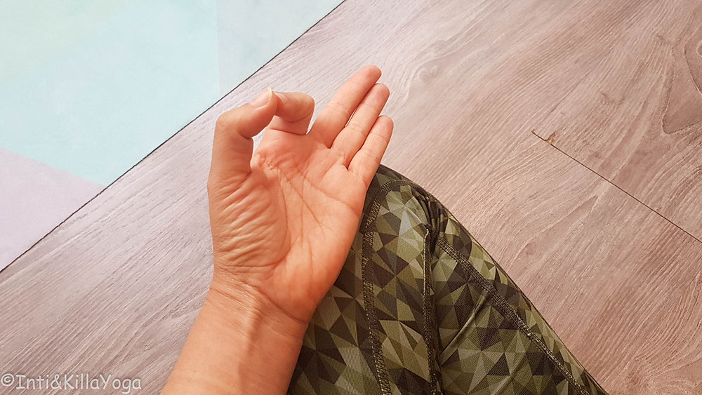 Jñana Mudra (unión de lo divino:pulgar y lo humano:índice)