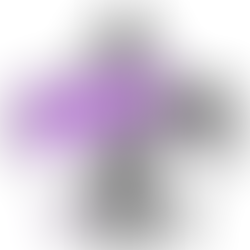 Beaver's Code of Conduct 2021