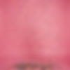 Firefly_remove kids 245219.png