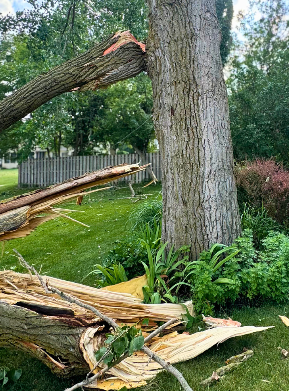 Storm Damage
