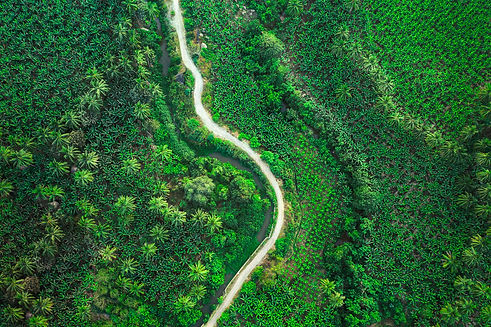 DJI_0090-EditroADlow.jpg