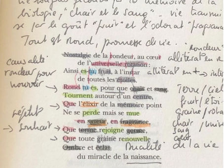 poème de F. Cheng colorié et analysé écrit à la main