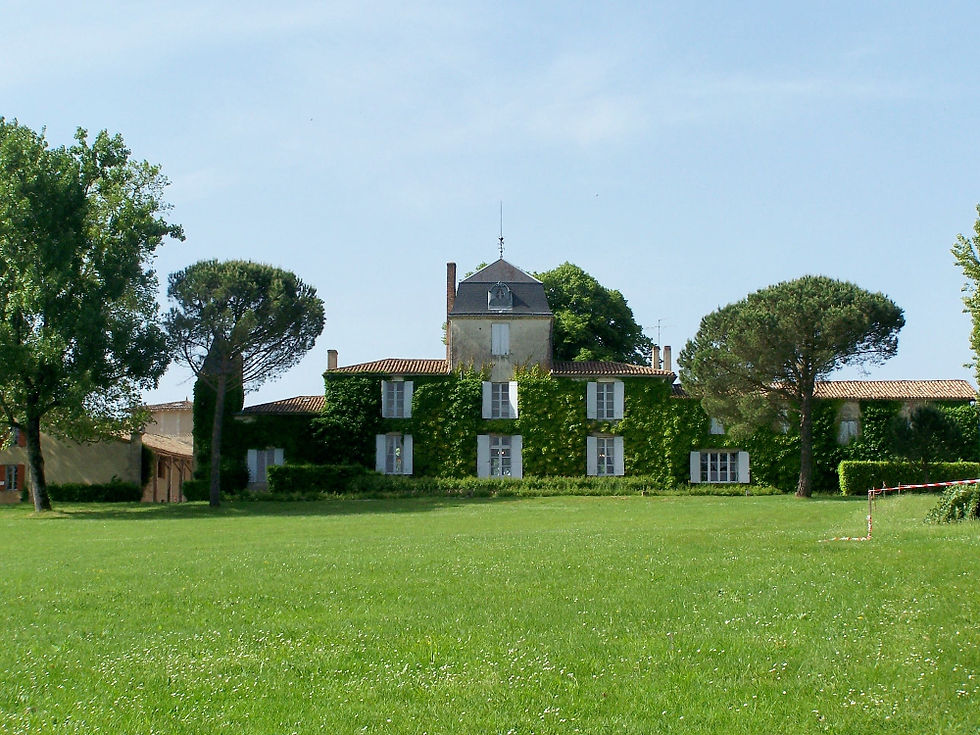 Maison de campagne couverte de lierre, entourée d’arbres et d’une grande pelouse, sous un ciel bleu calme.